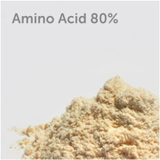 Aminoacid