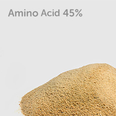 Aminoacid