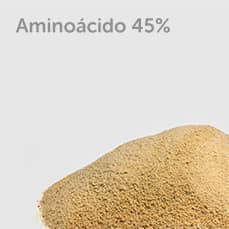 Aminoacido