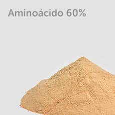 Aminoacido