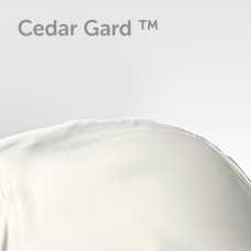 Cedar Guard