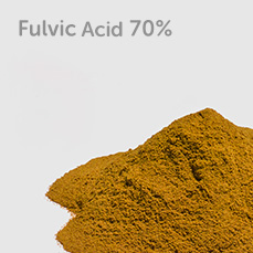 Fulvic Acid