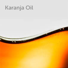 Karanja Oil