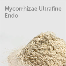 Mycorrhizae Ultafine Endo