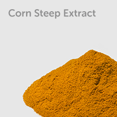 Corn Steep Extract