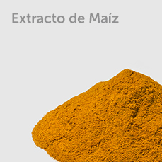 Extracto de maiz