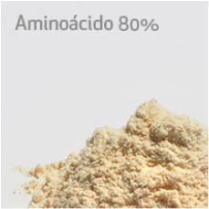 Aminoacido