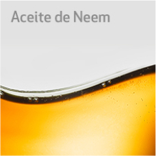 Aceite Neem