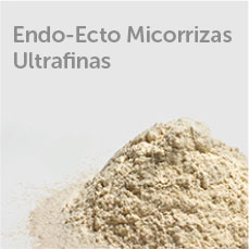 Endo Ecto Micorrizas Ultrafinas