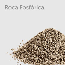 Roca Fosfórica