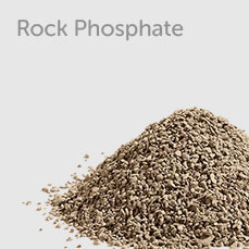 Rock Phosphate